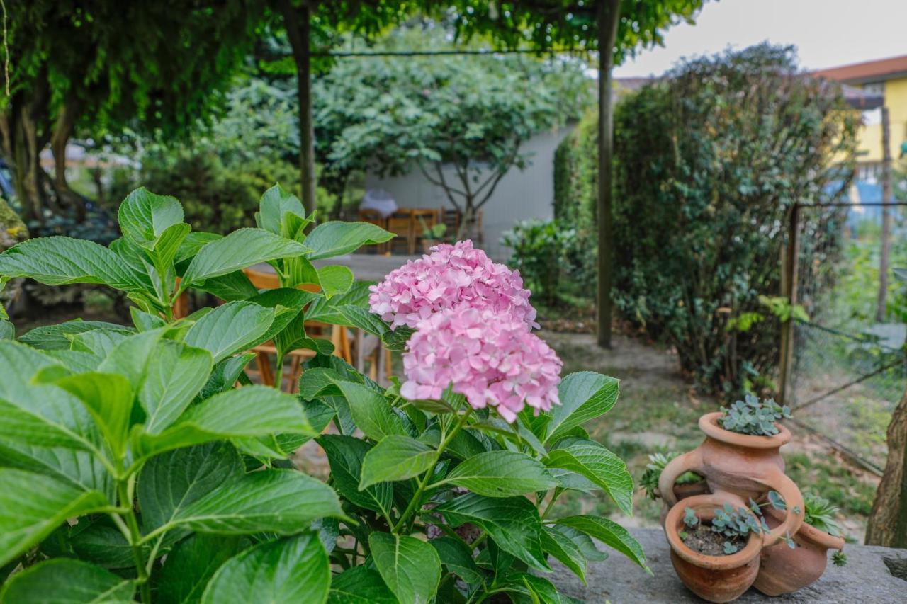 Bed and Breakfast Il Germano Reale Альба Экстерьер фото